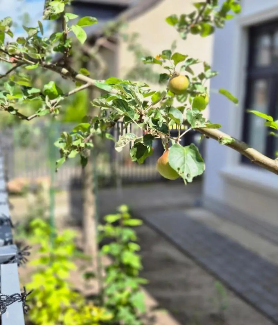 Apartment Suite&Enjoy Hamburg